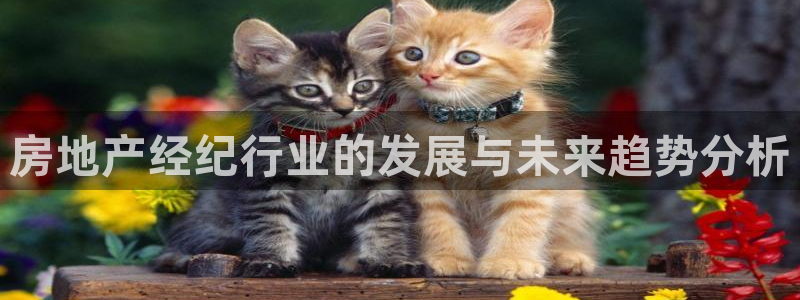 天狮娱乐招商主管
