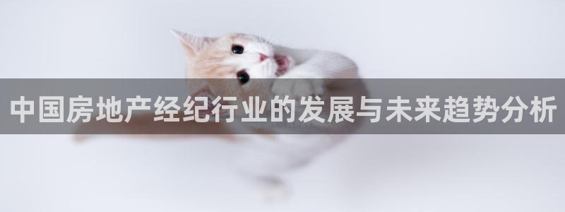 天狮娱乐 送彩金酷赢：中国房地产经纪行业的发展与未来趋势分析