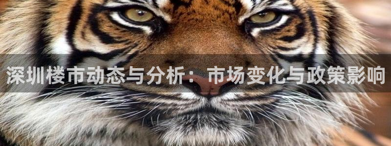 天狮娱乐哪里注册：深圳楼市动态与分析：市场变化与政策影响