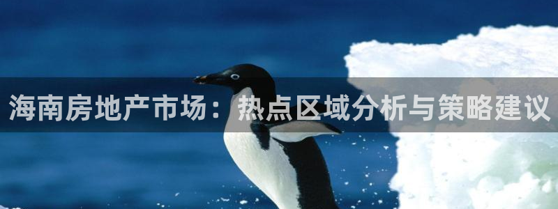 天狮娱乐 31661股z东：海南房地产市场：热点区域分析与策