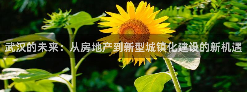 天狮娱乐hefame：武汉的未来：从房地产到新型城镇化建设的
