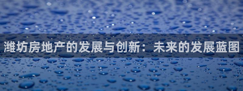 天狮娱乐资金安全吗：潍坊房地产的发展与创新：未来的发展蓝图