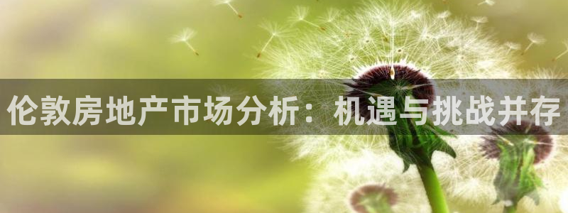 天狮娱乐招j商443593：伦敦房地产市场分析：机遇与挑战并