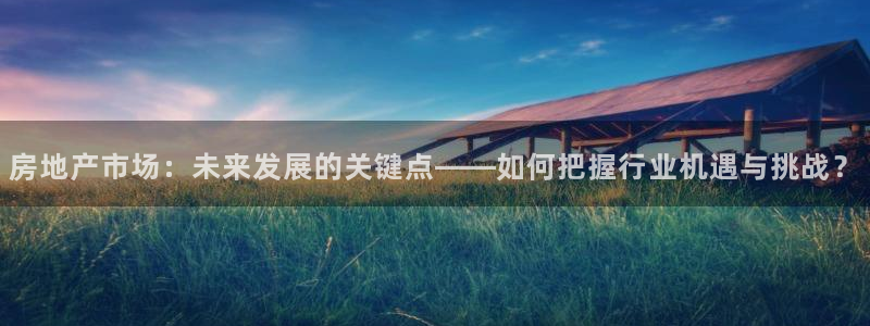 天狮娱乐c OO判官：房地产市场：未来发展的关键点——如何把