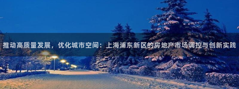 天狮娱乐平台怎么样：推动高质量发展，优化城市空间：上海浦东新