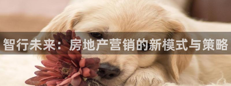 天狮娱乐指尖下载官网：智行未来：房地产营销的新模式与策略