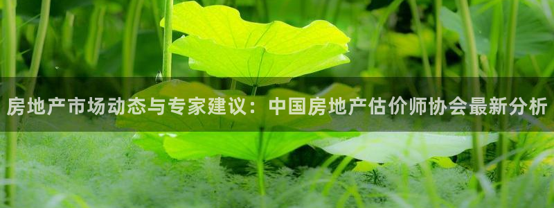 天狮娱乐 a内部29229：房地产市场动态与专家建议：中国房