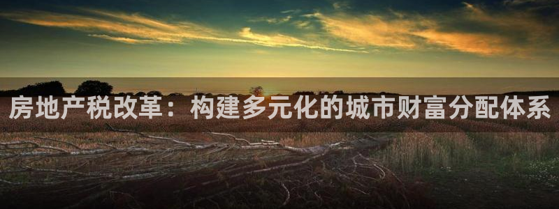 天狮娱乐指尖可：房地产税改革：构建多元化的城市财富分配体系