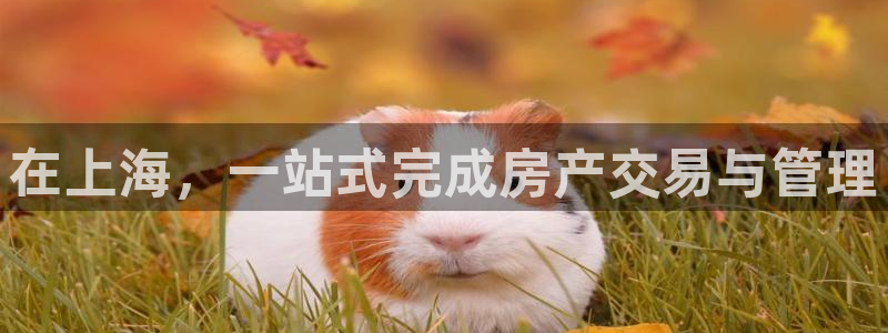财富娱乐会所天狮：在上海，一站式完成房产交易与管理