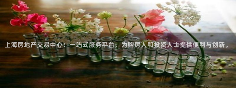 天狮会娱乐会所图片：上海房地产交易中心：一站式服务平台，为购