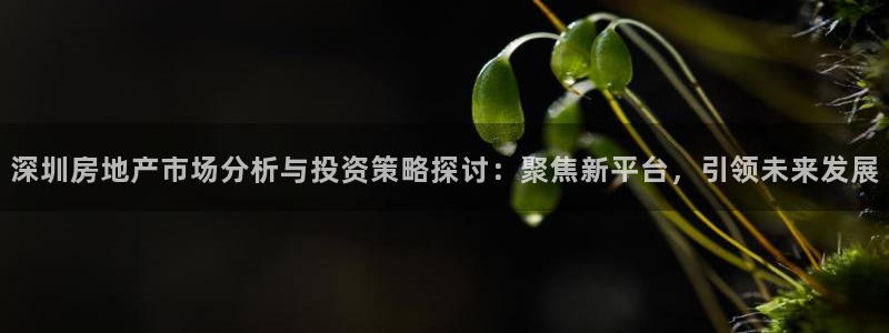 天狮娱乐挂机风险：深圳房地产市场分析与投资策略探讨：聚焦新平