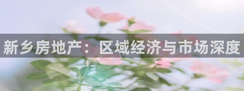 天狮娱乐购彩平台：新乡房地产：区域经济与市场深度