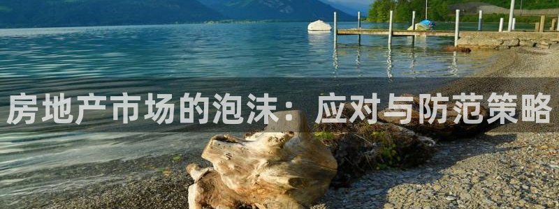 天狮娱乐hefame：房地产市场的泡沫：应对与防范策略