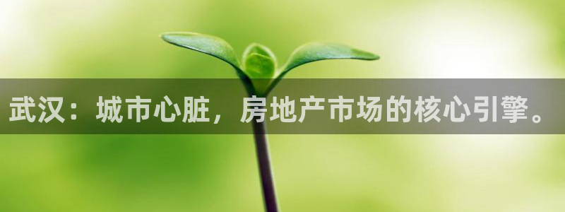 天狮娱乐会所怎么样：武汉：城市心脏，房地产市场的核心引擎。