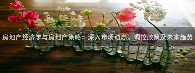 天狮娱乐主管汽车之家：房地产经济学与房地产策略：深入市场动态