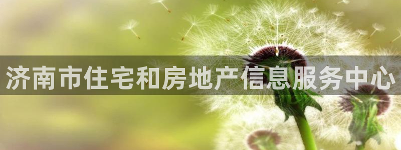 天狮娱乐q：济南市住宅和房地产信息服务中心
