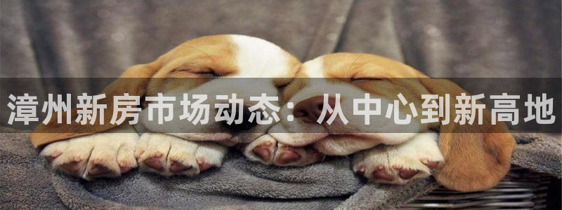 天狮娱乐主管汽车之家：漳州新房市场动态：从中心到新高地
