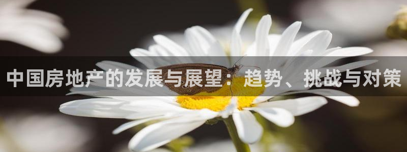 天狮娱乐工资