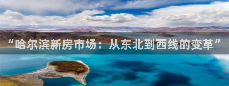 天狮娱乐招商66六26：“哈尔滨新房市场：从东北到西线的变革
