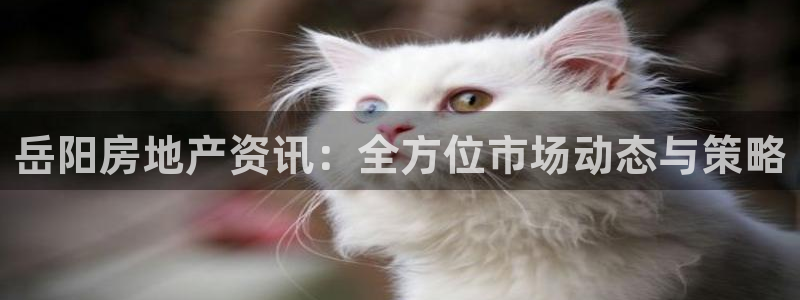 天狮娱乐注册q 0：岳阳房地产资讯：全方位市场动态与策略