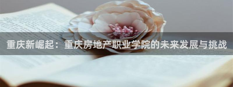 天狮娱乐- 招商：重庆新崛起：重庆房地产职业学院的未来发展与