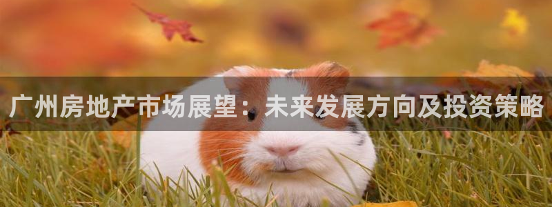 天狮娱乐如：广州房地产市场展望：未来发展方向及投资策略