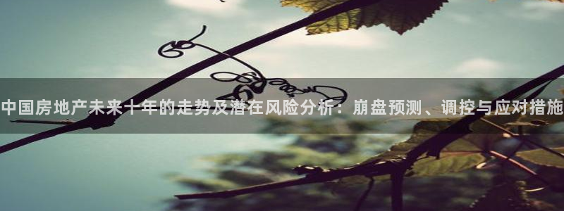 天狮娱乐优惠：中国房地产未来十年的走势及潜在风险分析：崩盘预