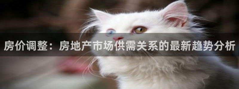 天狮娱乐：房价调整：房地产市场供需关系的最新趋势分析