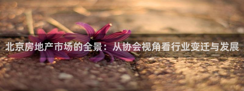 天狮娱乐扣扣29229：北京房地产市场的全景：从协会视角看行