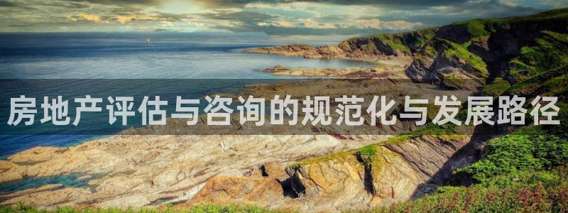 天狮娱乐指尖下载官网：房地产评估与咨询的规范化与发展路径