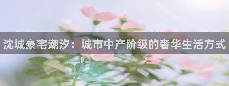 天狮娱乐注册：沈城豪宅潮汐：城市中产阶级的奢华生活方式