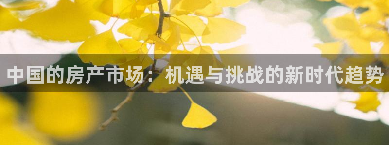 天狮娱乐卧J招商60447：中国的房产市场：机遇与挑战的新时