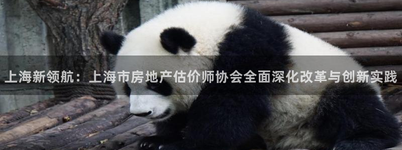 天狮娱乐分分：上海新领航：上海市房地产估价师协会全面深化改革