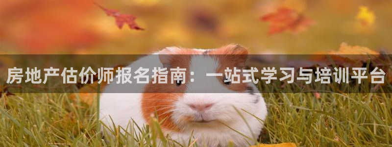 天狮娱乐分分彩：房地产估价师报名指南：一站式学习与培训平台