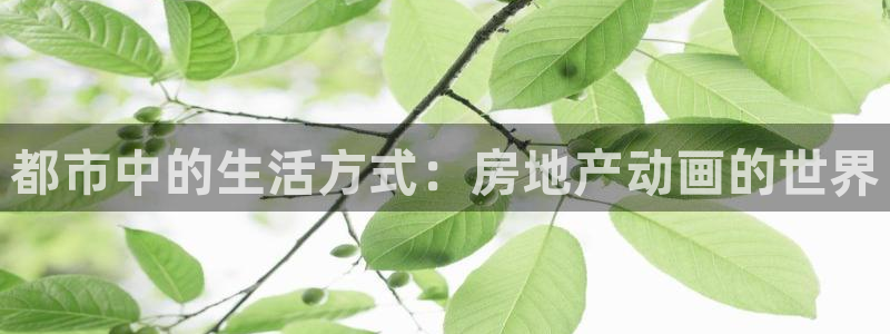 天狮娱乐 138do点c0m：都市中的生活方式：房地产动画的