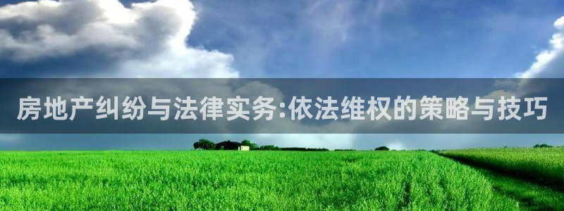 天狮娱乐-欢迎您：房地产纠纷与法律实务:依法维权的策略与技巧