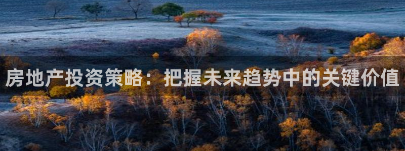天狮娱乐是不是赌博：房地产投资策略：把握未来趋势中的关键价值