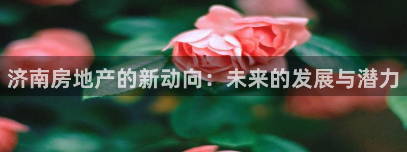 苏州狮山龙湖天街娱乐：济南房地产的新动向：未来的发展与潜力