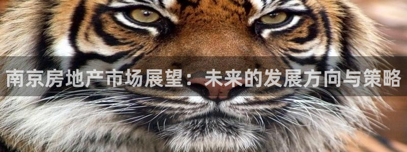 天狮娱乐71009：南京房地产市场展望：未来的发展方向与策略