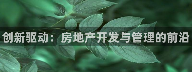 天狮娱乐招商扣：创新驱动：房地产开发与管理的前沿