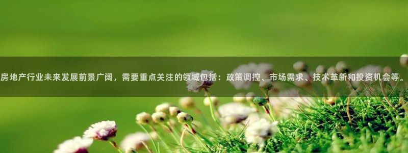 天狮娱乐是真是假：房地产行业未来发展前景广阔，需要重点关注的