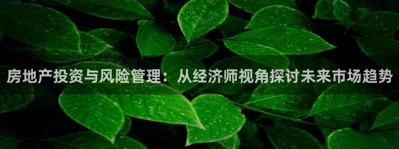 财富娱乐会所天狮：房地产投资与风险管理：从经济师视角探讨未来