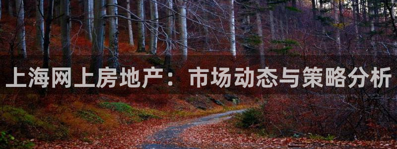 天狮娱乐 送彩金酷赢：上海网上房地产：市场动态与策略分析