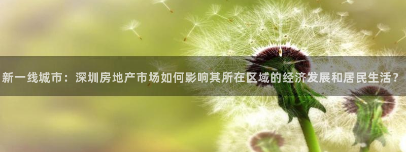 南京天狮娱乐会所：新一线城市：深圳房地产市场如何影响其所在区