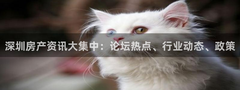 天狮娱乐i股t东64681：深圳房产资讯大集中：论坛热点、行