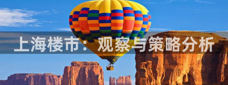 天狮娱乐如：上海楼市：观察与策略分析