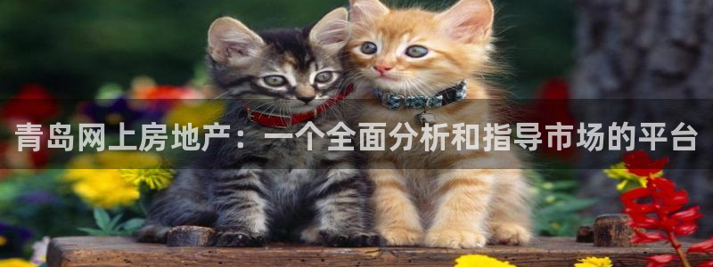 天狮娱乐官网：青岛网上房地产：一个全面分析和指导市场的平台