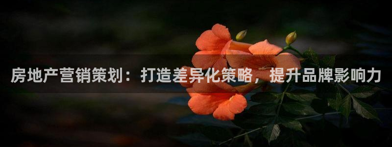 天狮娱乐 官方网站：房地产营销策划：打造差异化策略，提升品牌