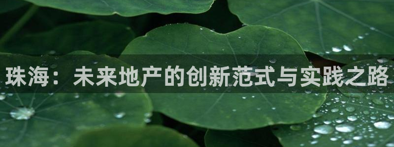 天狮娱乐招商扣：珠海：未来地产的创新范式与实践之路
