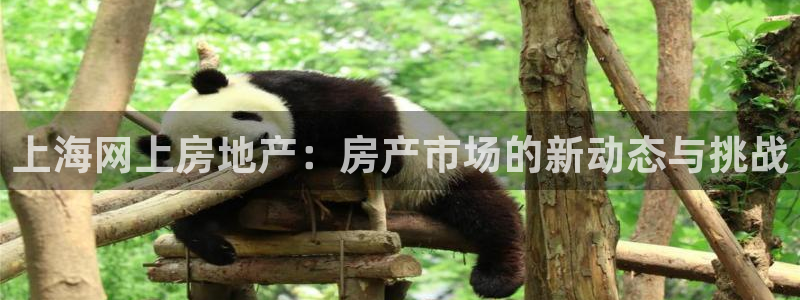 天狮娱乐卧J招商60447：上海网上房地产：房产市场的新动态